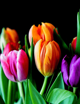 Wilma Laverne (Miller) Robertson Obituary